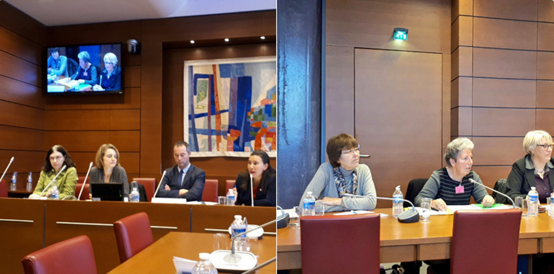 Audition Assemblee Nationale 281117 Audition Assemblee Nationale 281117